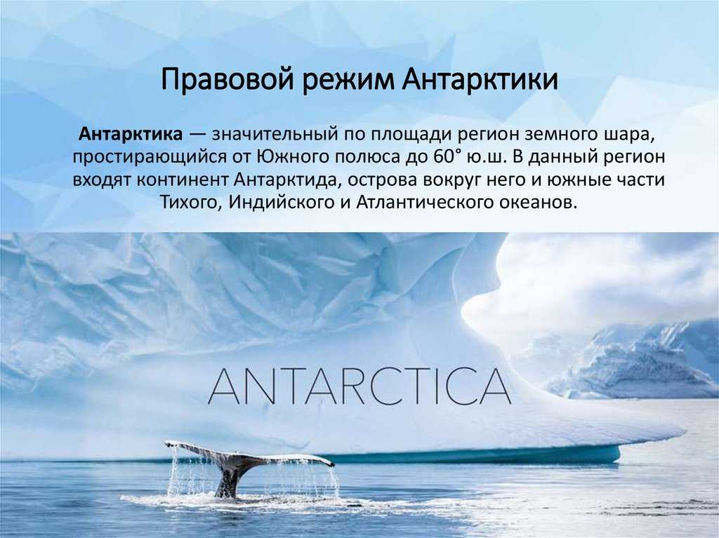 Антарктика и антарктида – отличия на глобусе, в чем разница