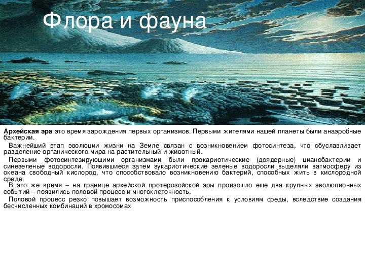 Архейская эра. развитие земли и жизни на ней