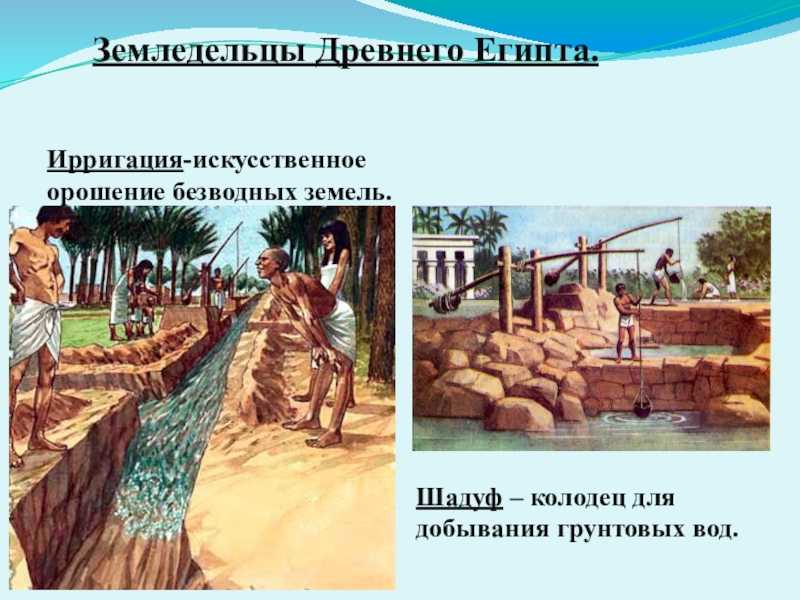 Орошение - это что такое в сельском хозяйстве? :: syl.ru
