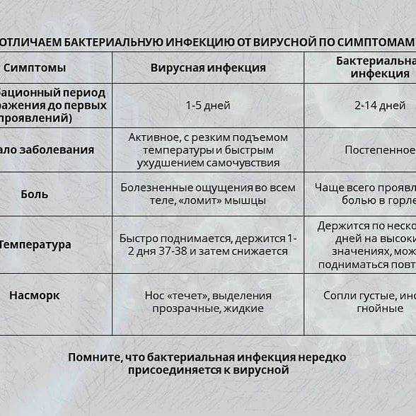 Бактерии и вирусы: как поражают клетки организма, в чем разница и когда нужны антибиотики | salt