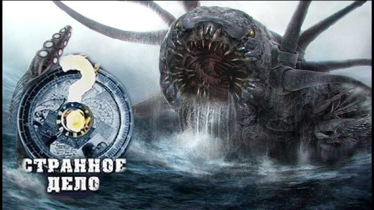 Дела подводные