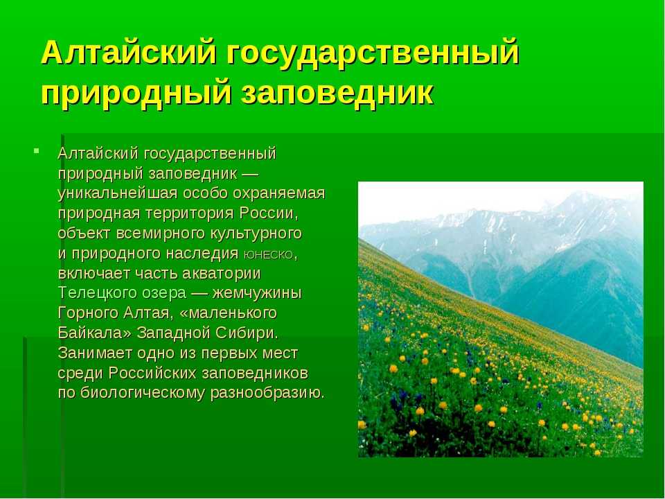 Животный и растительный мир природных зон россии