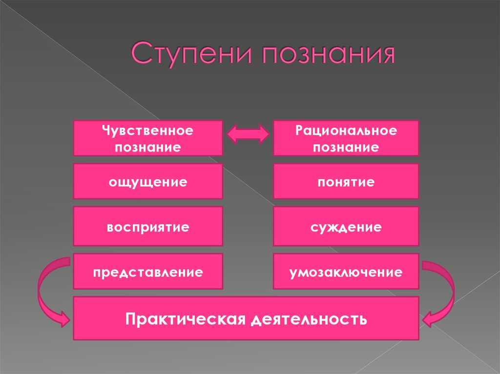 Различия и сходства животного и человека: сравнение строения и поведения