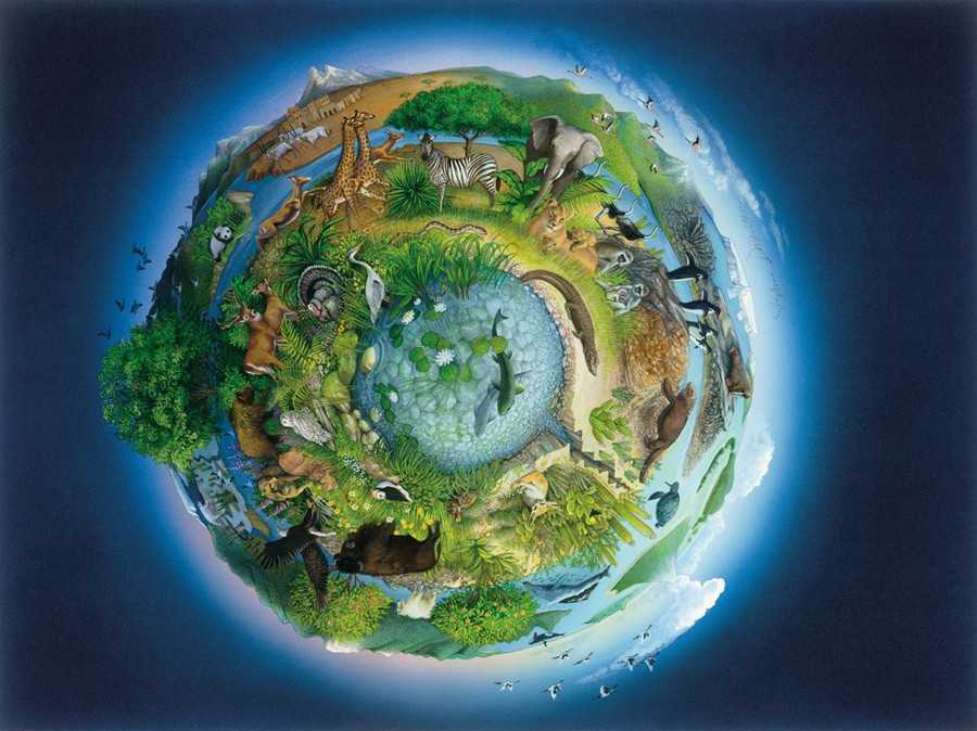 Конспект "биосфера — глобальная экосистема" - учительpro