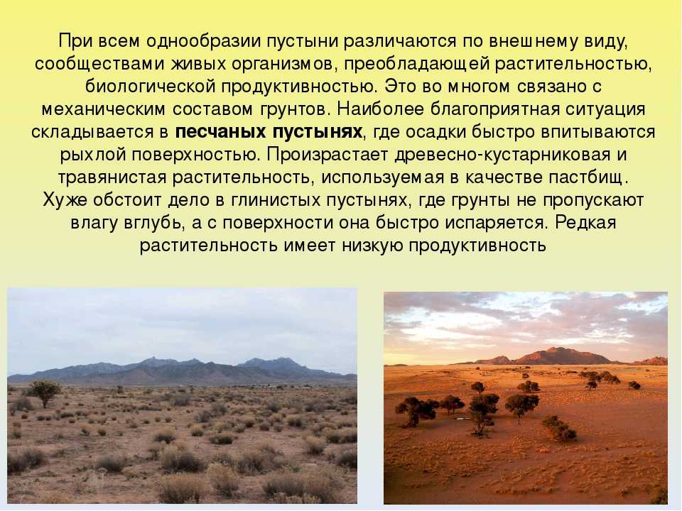 Пустыни россии