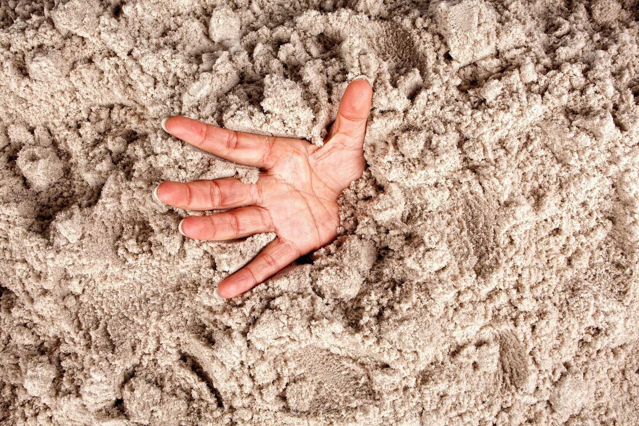 Песчаный удавчик (89 фото) - описание, где обитает, чем питается, как выглядит