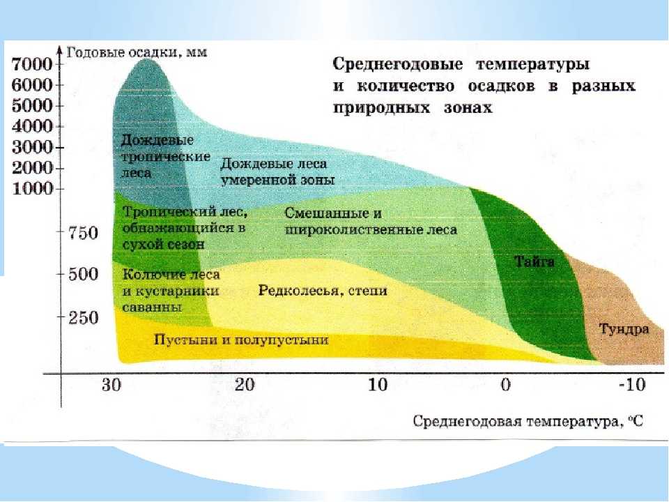Особенности смены природных зон и характеристика биокомплексов - tarologiay.ru