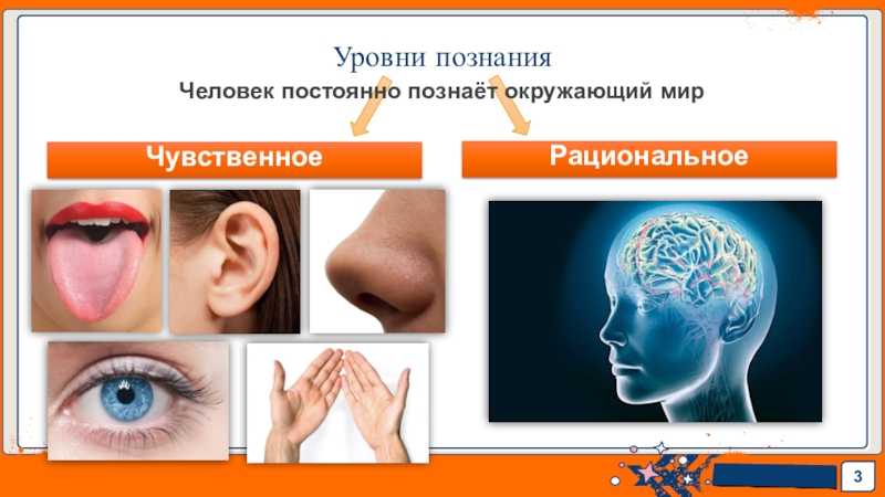 Определение темы и основной мысли текста: разбор понятий, связь и различие темы и идеи, выявление идеи текста