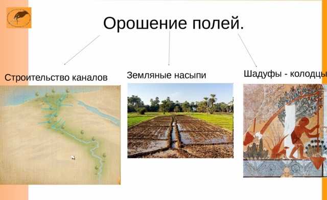 Орошение почвы: методы и правила проведения, возможные проблемы