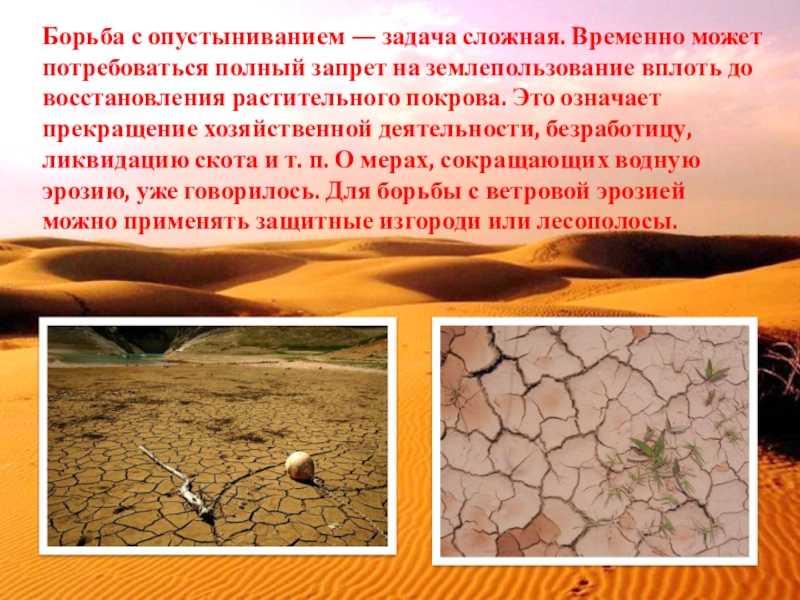 Понятие засухи, ее разновидности. реферат. сельское хозяйство. 2011-01-30
