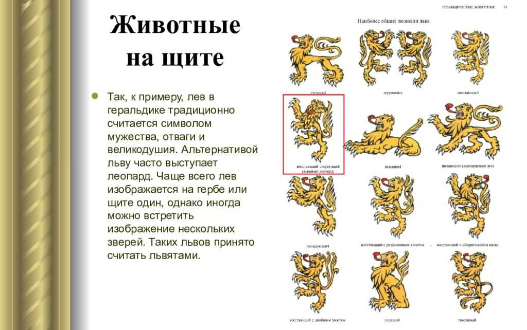 История и миф льва