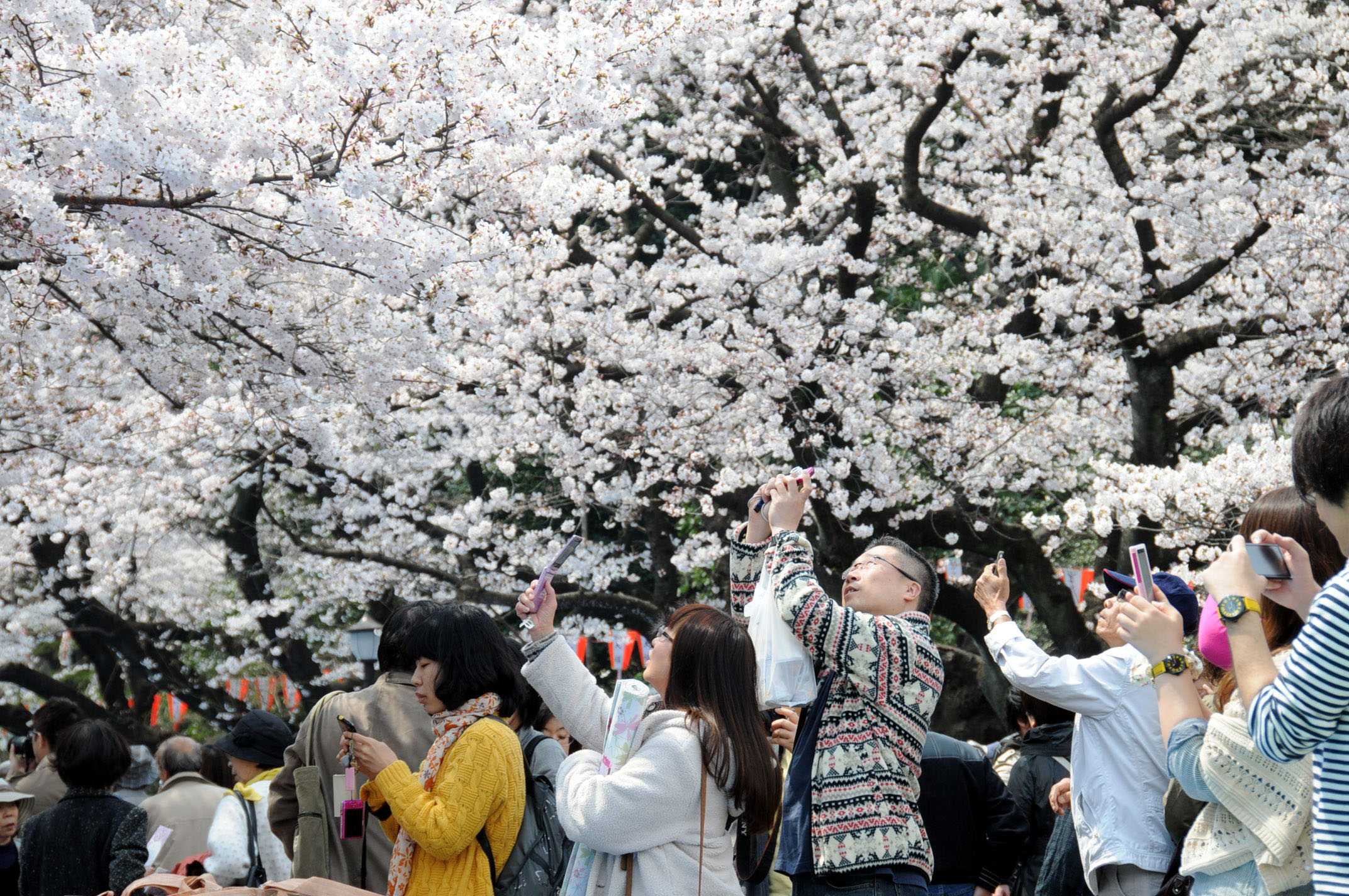 Чем славится япония: 10 причин отправиться в страну восходящего солнца - сайт о путешествиях