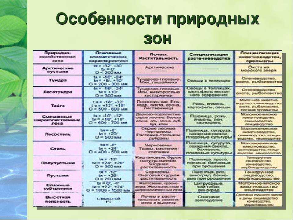 Таблица “природные зоны россии”