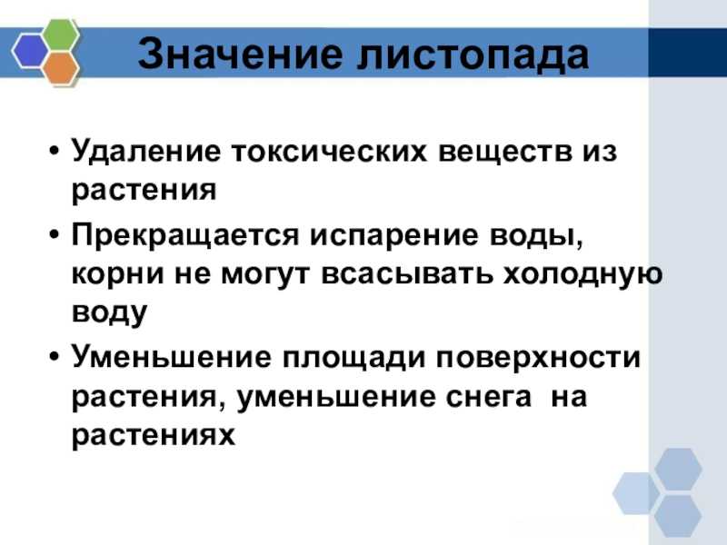 ᐉ динамика нарастания листа - лист - roza-zanoza.ru