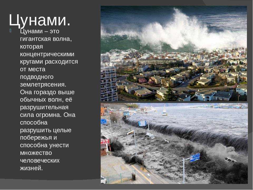 Самые большие цунами в мире: высота волны, причины и последствия :: syl.ru