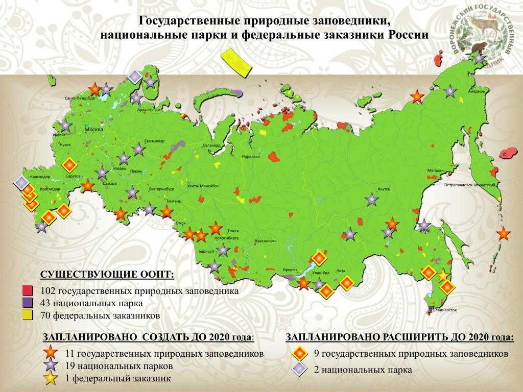 Разные уголки России впечатляют своими красотами: от вулканов и сопок Камчатки до танцующего леса Куршской косы