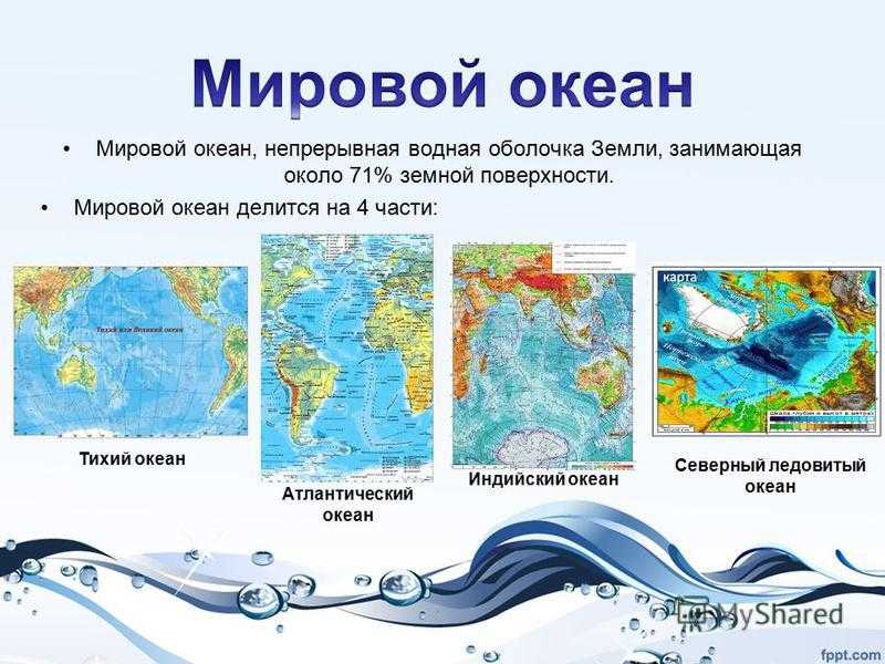 Более 70 % поверхности Земли покрывают воды морей и океанов, в совокупности называемые Мировым океаном