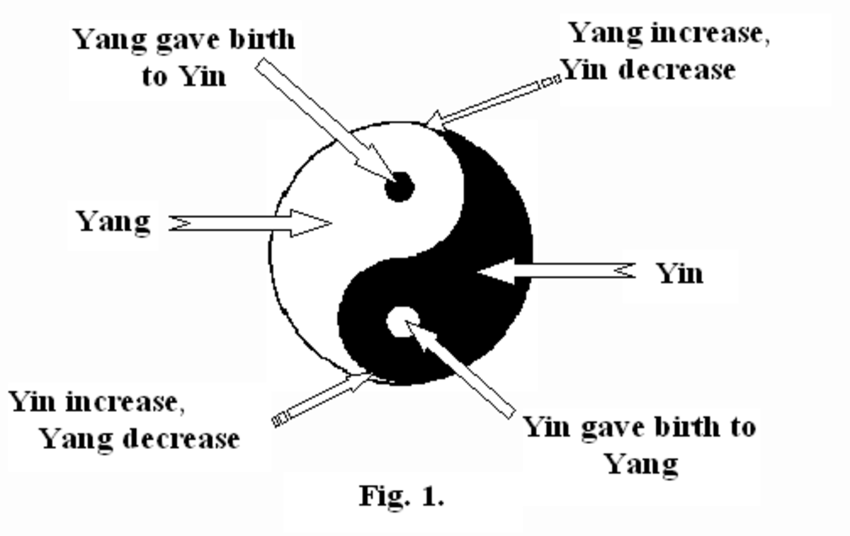 Значение символа инь-янь и его практическое применение согласно фен-шуй