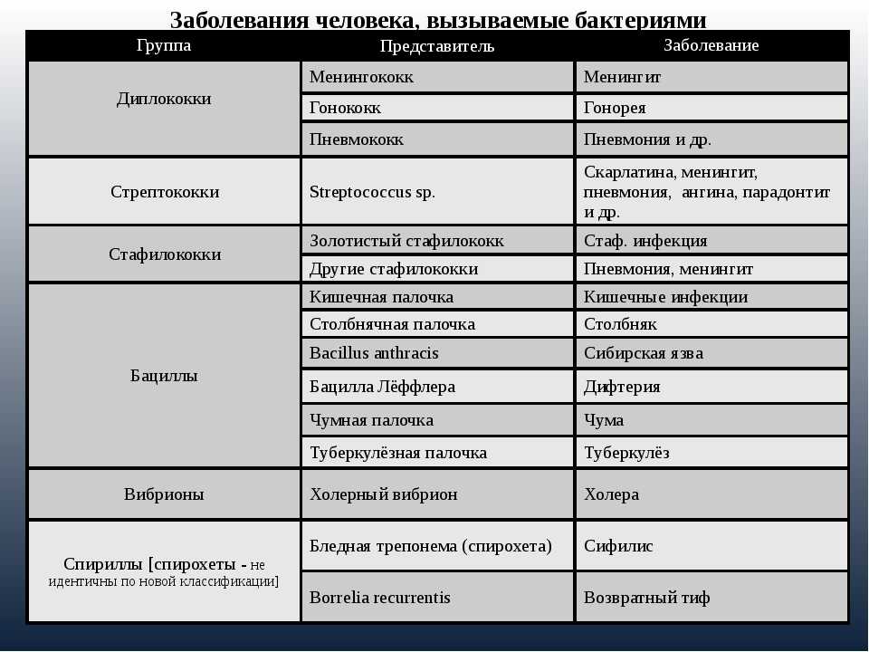 Основные этапы развития жизни на земле кратко в таблице