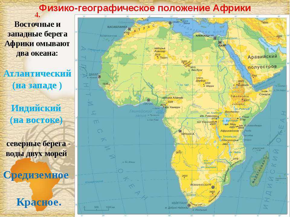 Плотность населения африки. площадь материка африки :: syl.ru