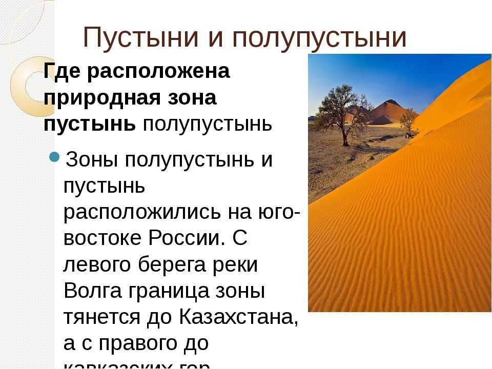 Пустыни и полупустыни россии: расположение, климат, животные и растения — природа мира