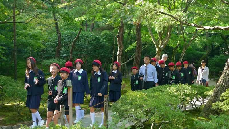 Природа японии — тонкости туризма
