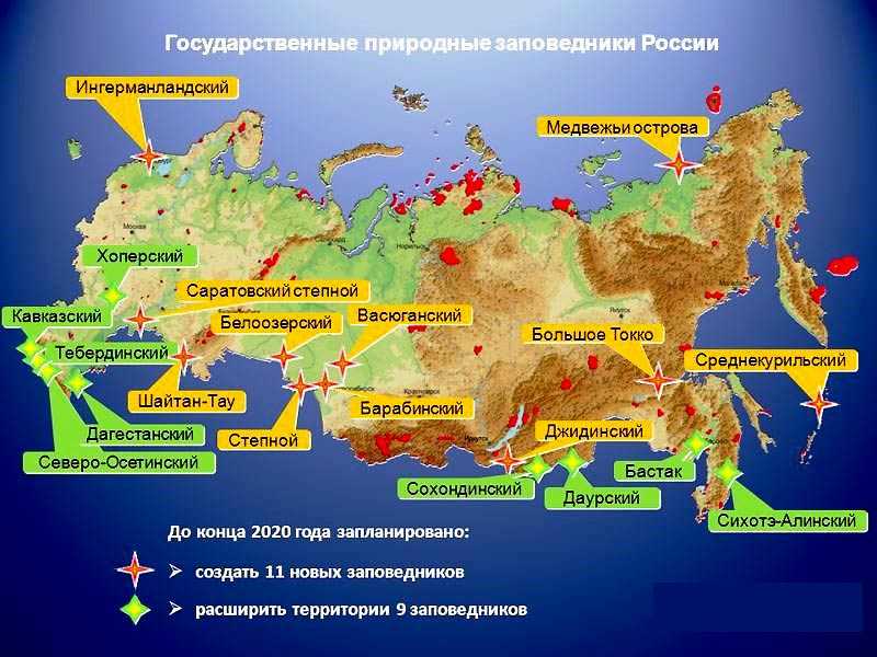 Национальные парки и заповедники россии, которые стоит увидеть