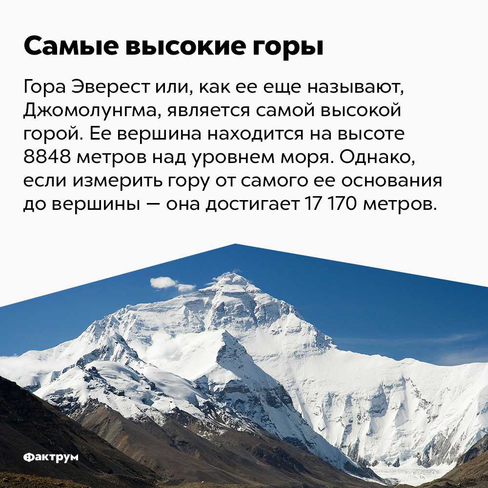 Какие самые высокие горы в мире?