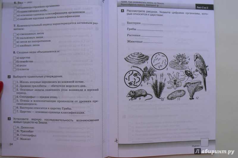 Уровни организации живой природы: таблица свойства живых организмов
