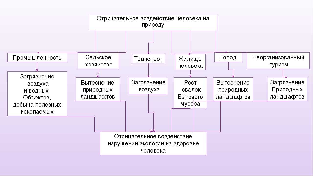 Освоение земли человеком - как происходило расселение на континенты