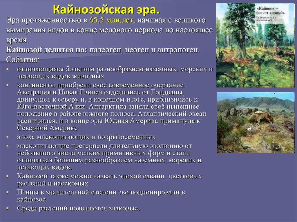 Геологическая история земли - kievuz