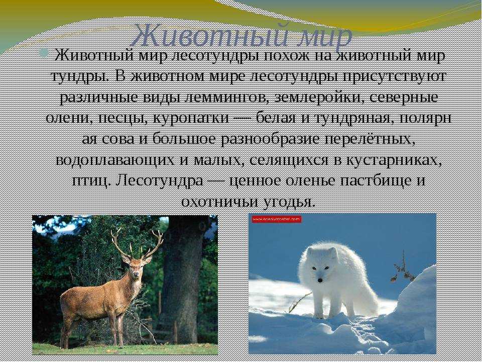 Климатические зоны россии