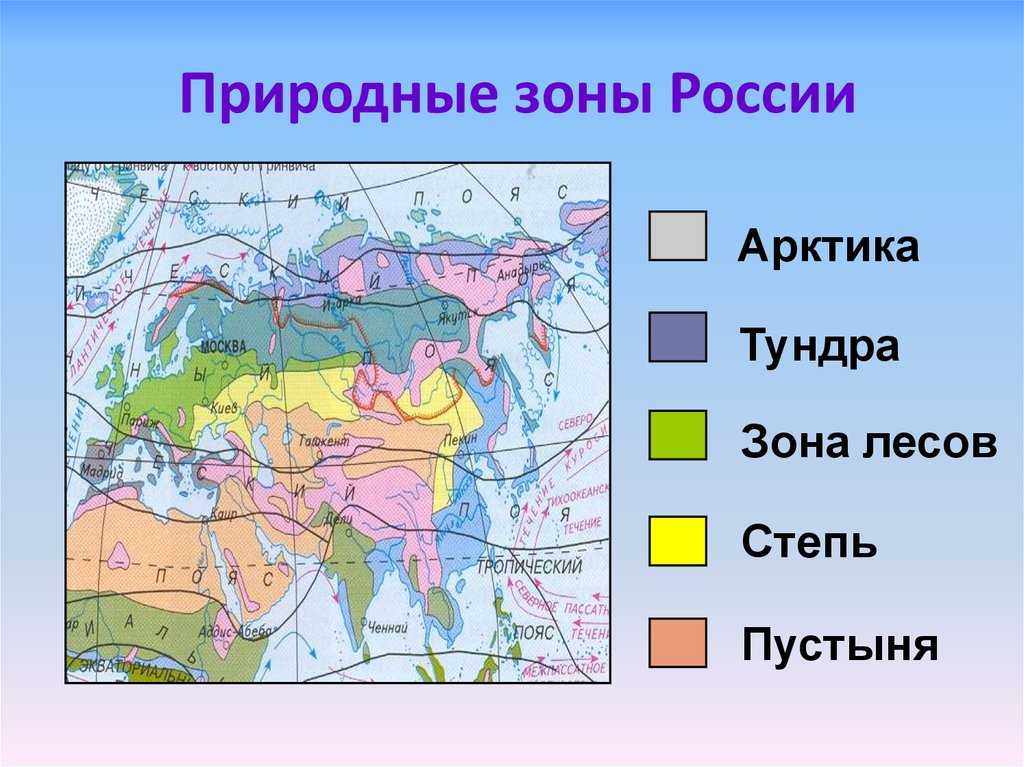 Ключевые проблемы природопользования степной и лесостепной зон россии. причины нарушения экобаланса и меры по его восстановлению
