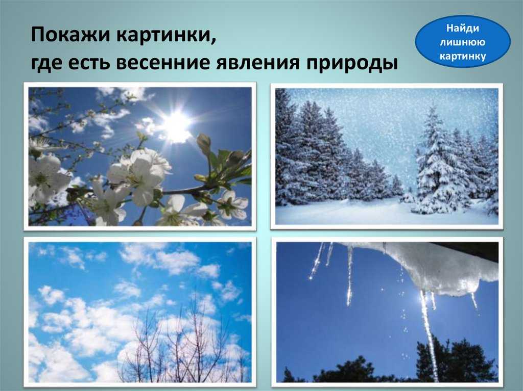 Явления природы зимние, весенние, летние, осенние
