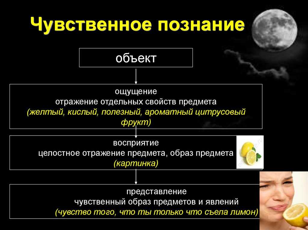 Познание мира — виды, уровни и формы