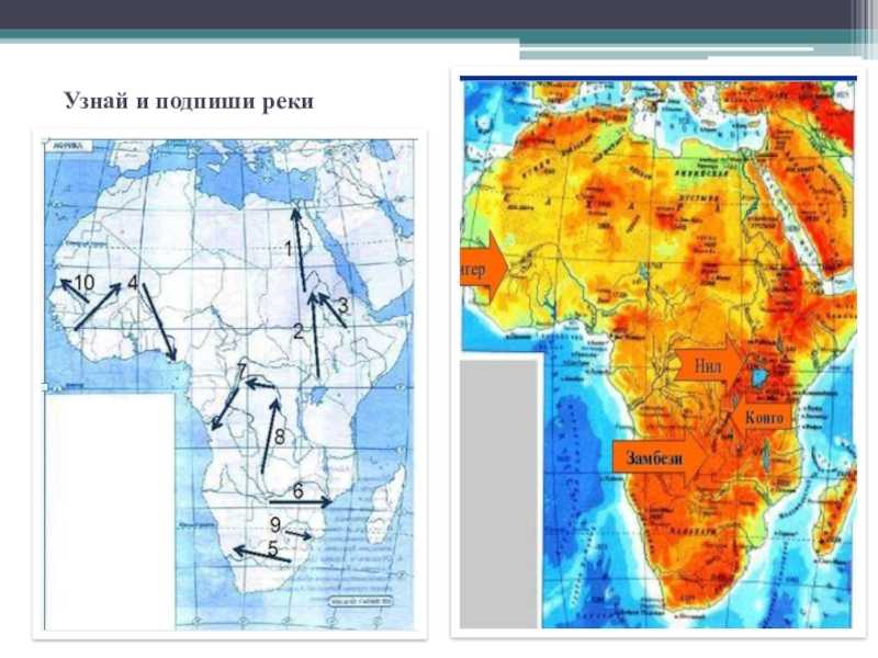 Материк африка описание, рельеф, климат