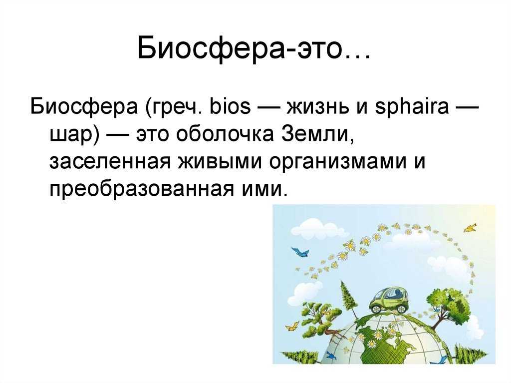 Определение и структура биосферы - степановских а.с. экология. учебник для вузов