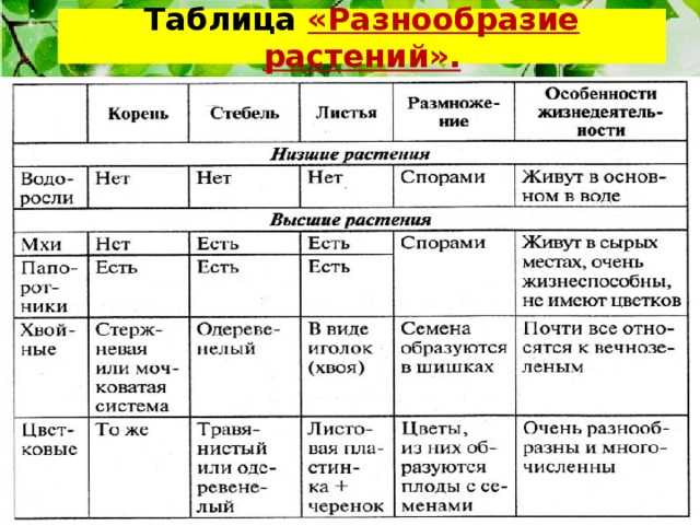 Гдз по учебнику биологии за 5 класс пономарева, николаев, корнилова