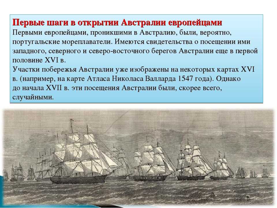 Австралия — столица, материк, страна, население, животные, 2021, города, язык, океания, флаг, океан - 24сми