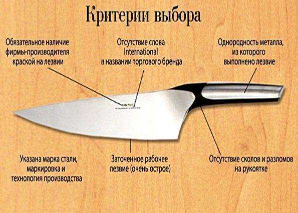 Какие бывают виды ножей для кухни