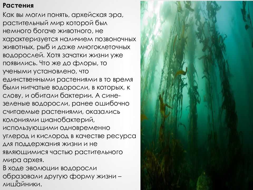 Этапы развития жизни на земле и современное биоразнообразие : farmf | литература для фармацевтов
