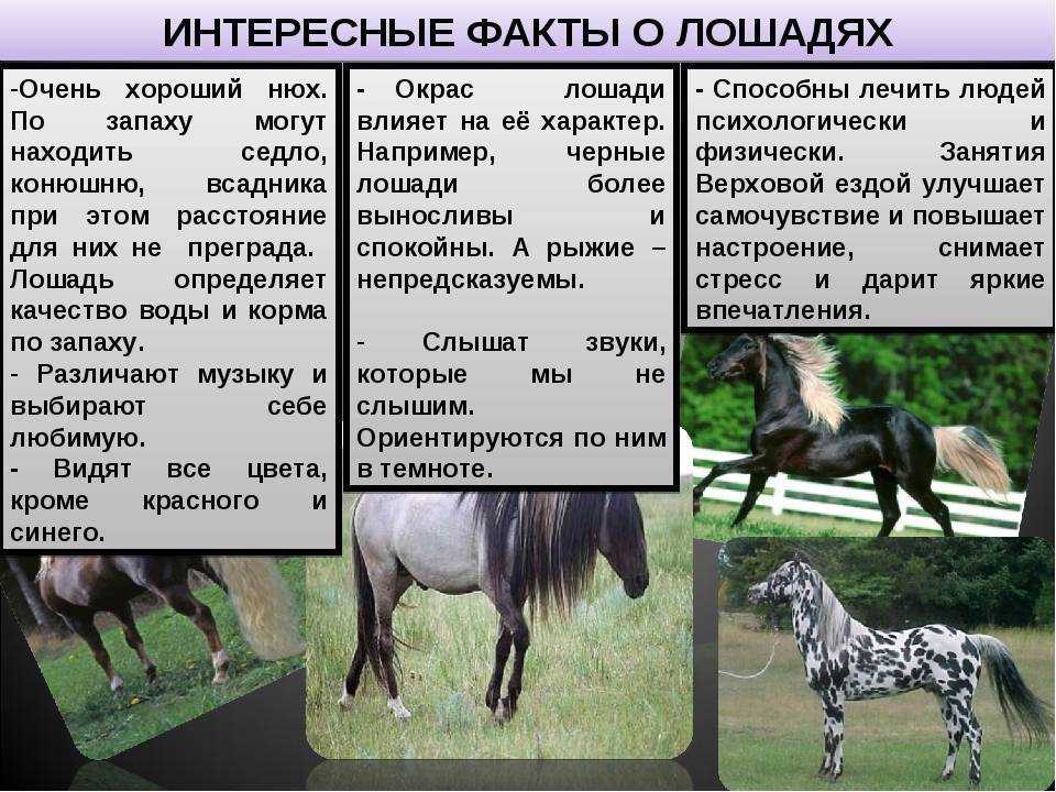 20 обычных слов с необычным происхождением