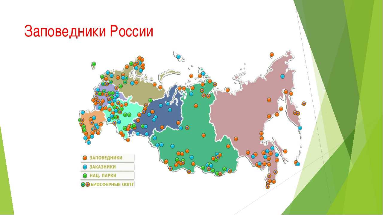 Топ-10 самых известных национальных парков россии