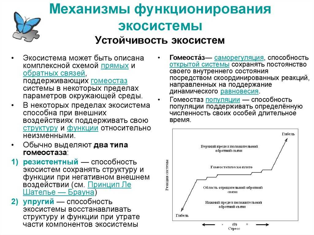 Урок 5: биоценоз - 100urokov.ru
