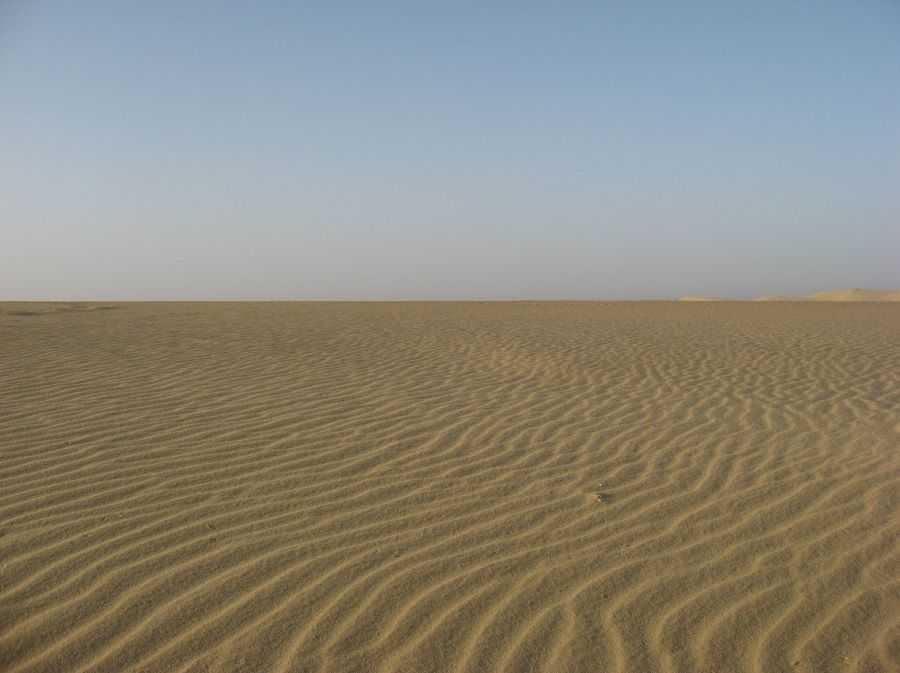 Климат пустыни – климатические особенности и природные условия кратко