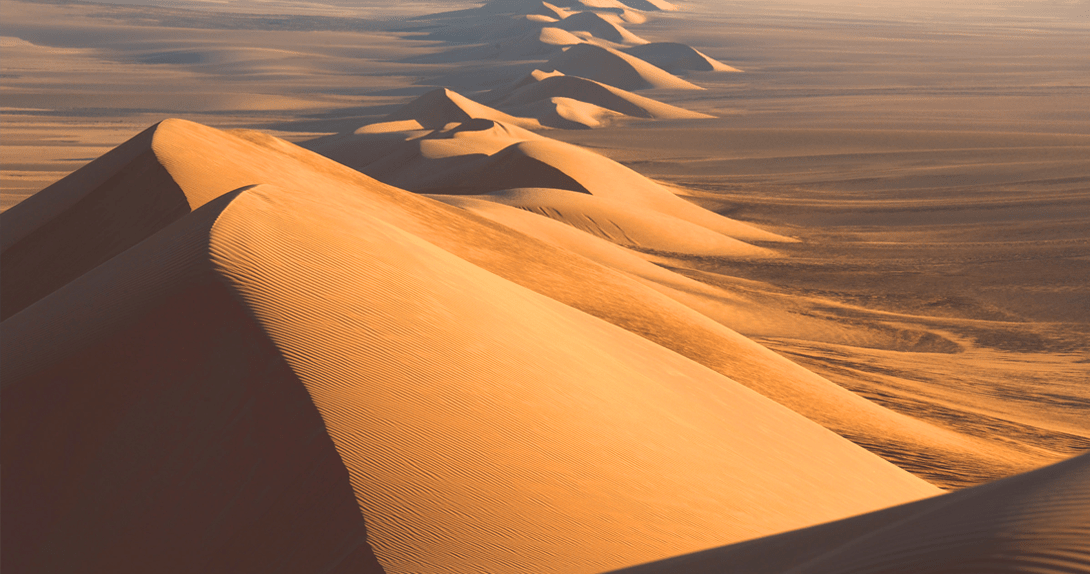 Пустыня сахара🌟подробно о климате, рельефе, животных, растениях