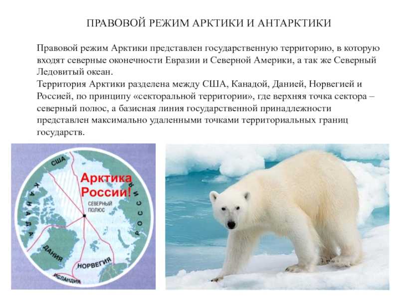 Вопросы и ответы арктического диктанта 13-14 августа 2021 года!
