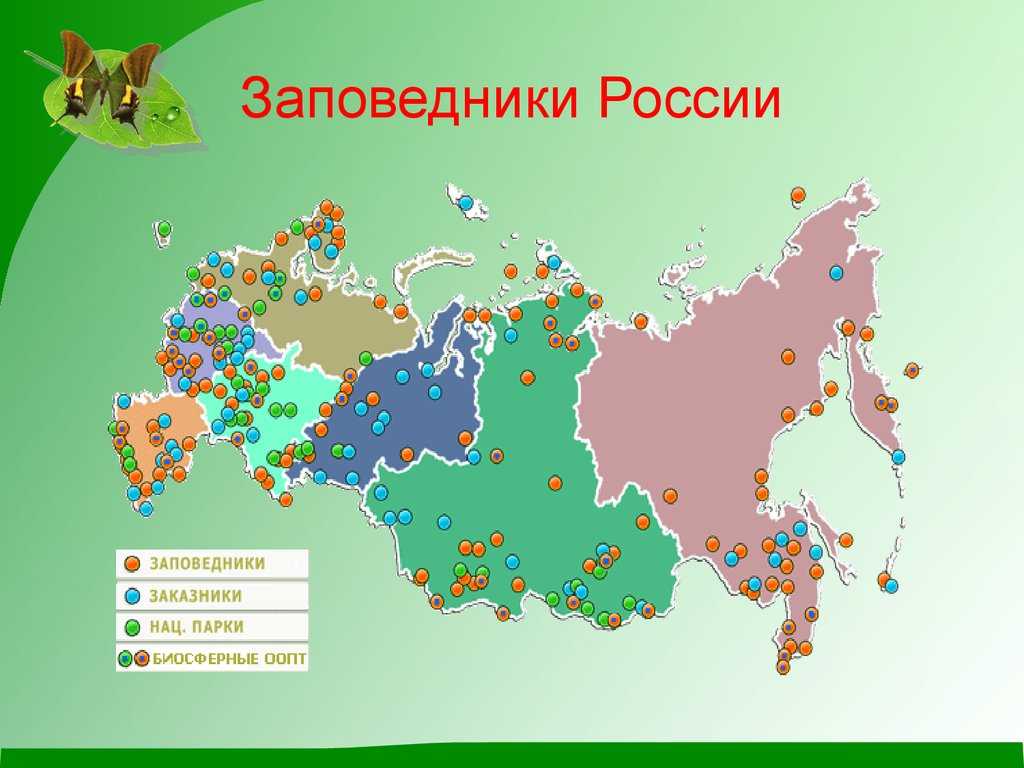 Самые известные национальные парки россии: топ-10