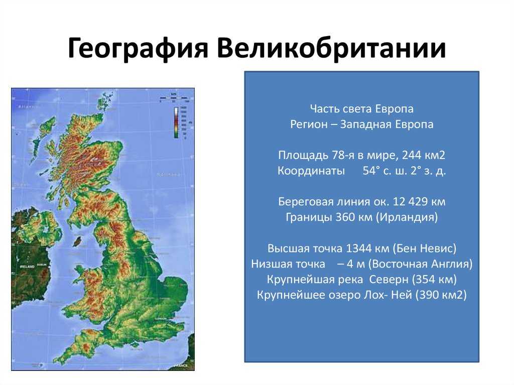 География великобритании: рельеф, климат, полезные ископаемые, флора и фауна