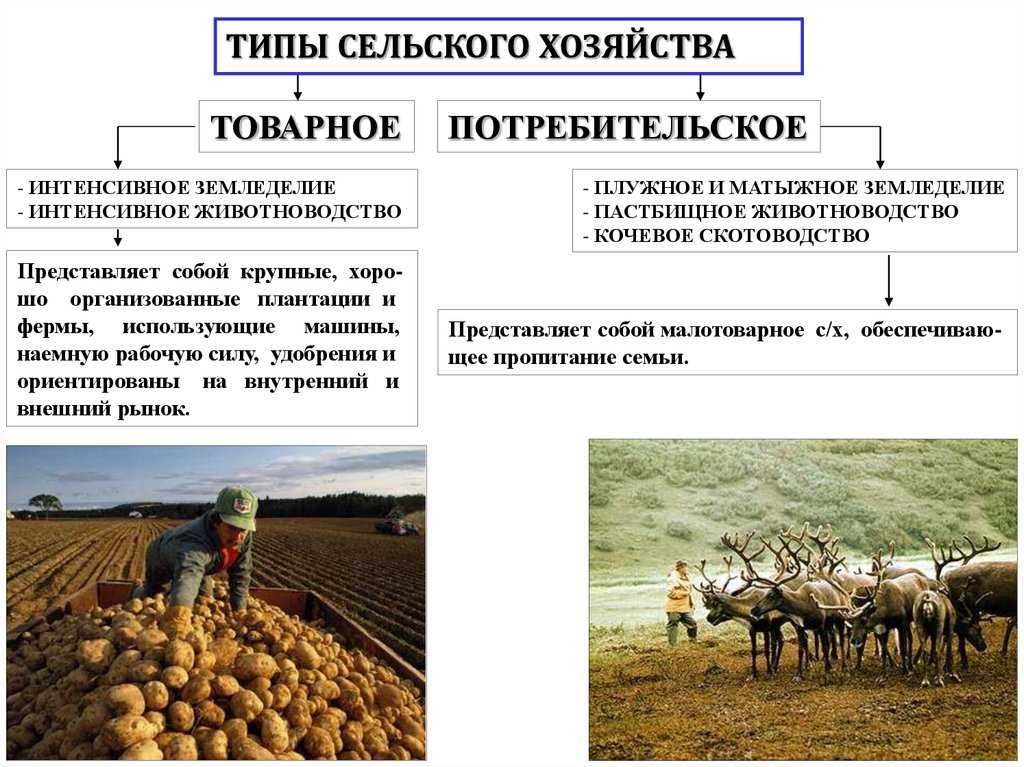 Агропромышленный комплекс россии - крупнейшие предприятия